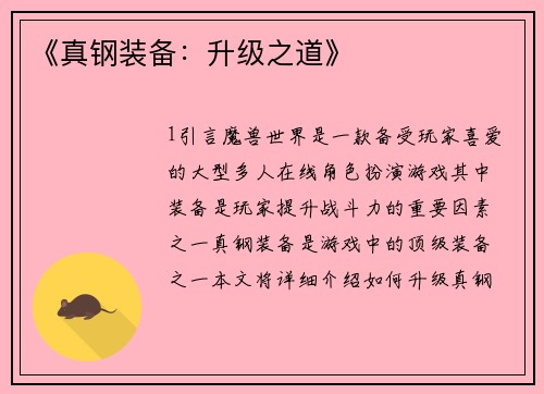 《真钢装备：升级之道》